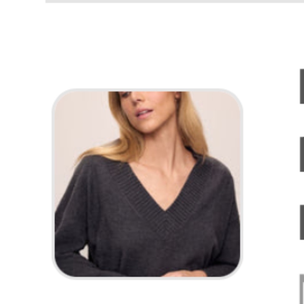 Eberjay Women's Charcoal V-Neck Sweater